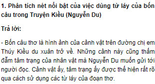 Đáp án Kiểm tra phần Tiếng Việt lớp 9 trang 204 Gallery 1