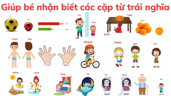 Cặp Từ Trái Nghĩa Tiếng Việt: Khám Phá Sự Đối Lập Hấp Dẫn Trong Tiếng Việt Gallery 1