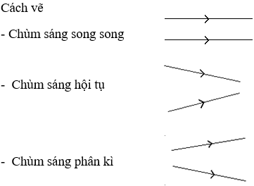 Có Mấy Loại Chùm Sáng? Gallery 1
