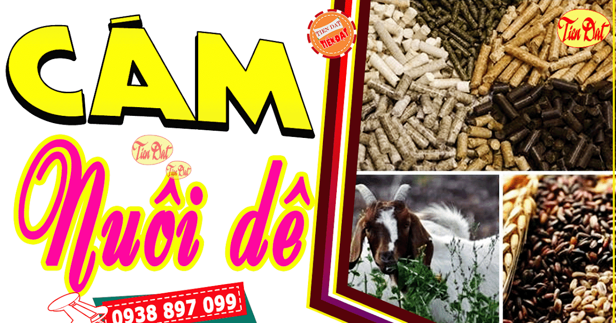 Các Loại Cám Dê Phù Hợp Cho Dê Của Bạn Gallery 2
