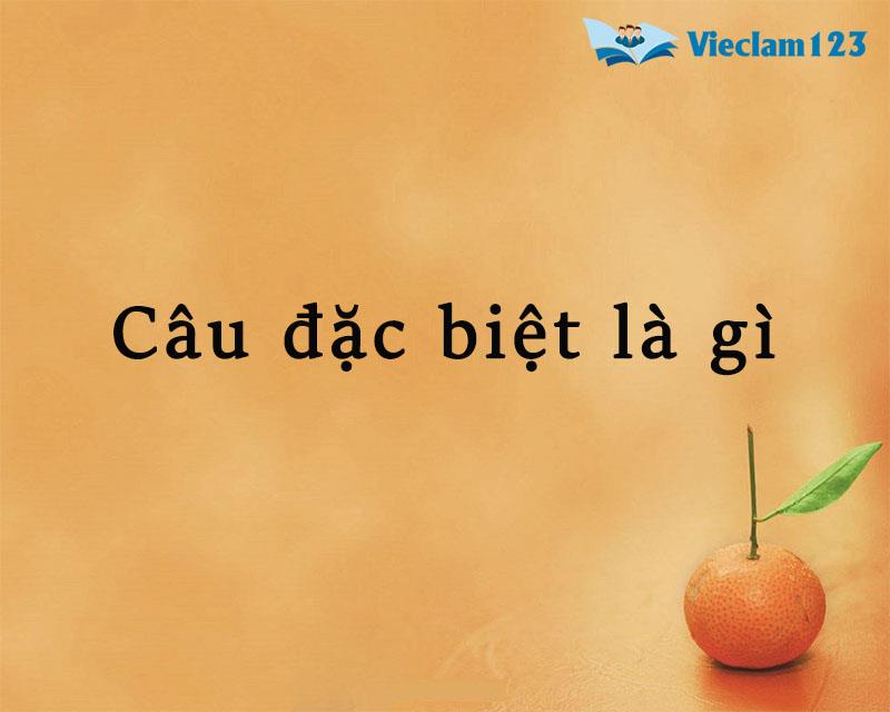 Thế nào là câu đặc biệt? Gallery 1