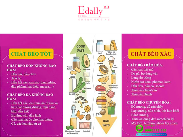 Phân Loại Chất Béo Gallery 1