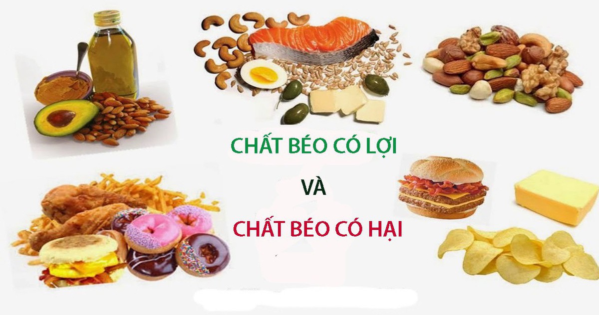 Phân Loại Chất Béo Gallery 2