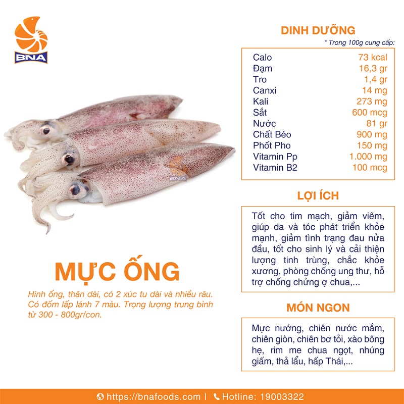 Con Mực Số Mấy? Gallery 1