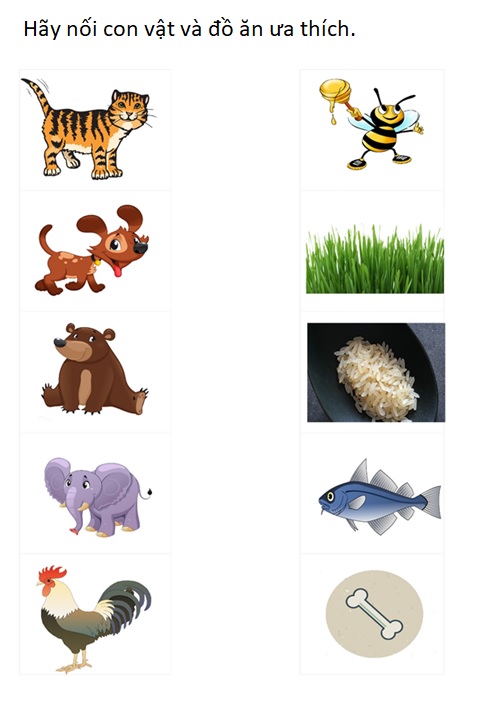 Con Vật Là Gì? Thế Giới Động Vật Đa Dạng Gallery 1