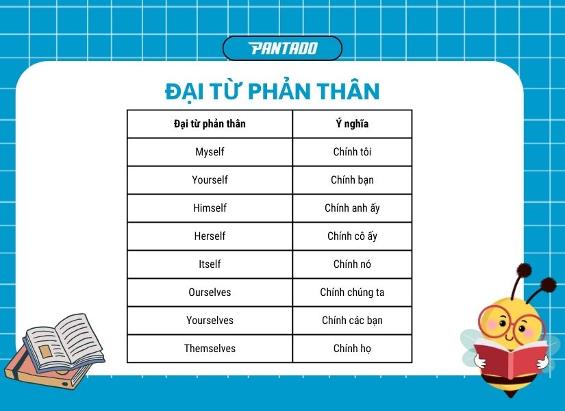 Sau Đại Từ Nhân Xưng Là Gì? Gallery 1
