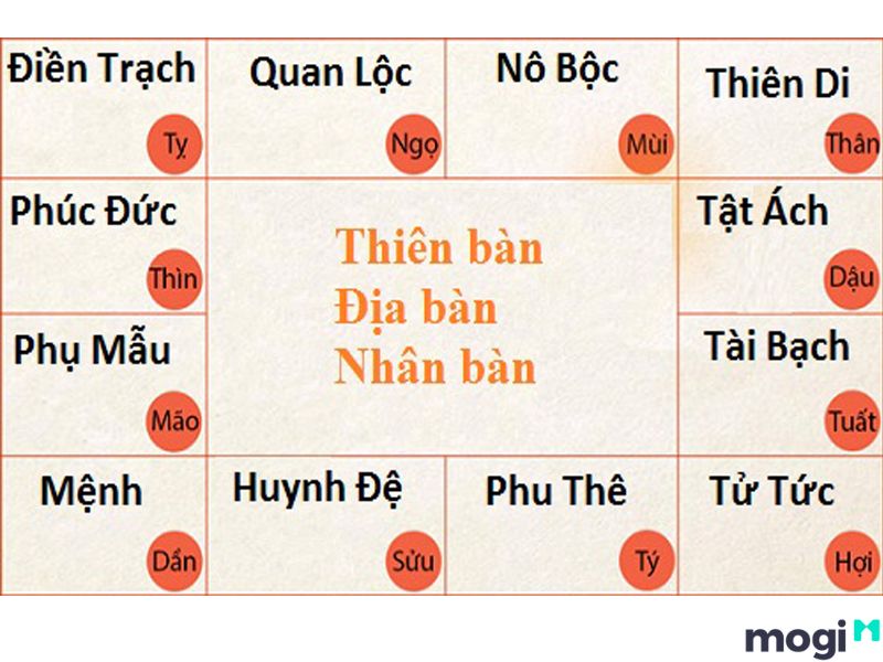 Cung Nô Bộc Là Gì? Gallery 1