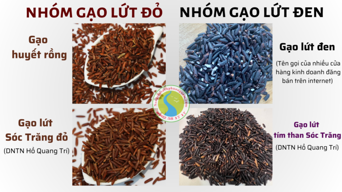 Gạo đen gọi là gì? Gallery 2