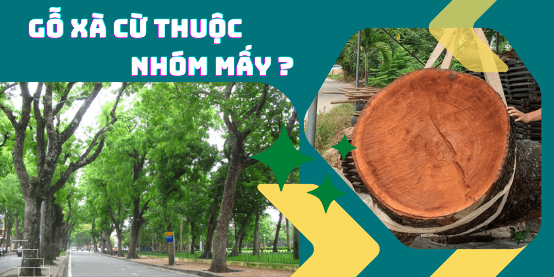 Gỗ Xà Cừ Thuộc Nhóm Mấy? Gallery 1