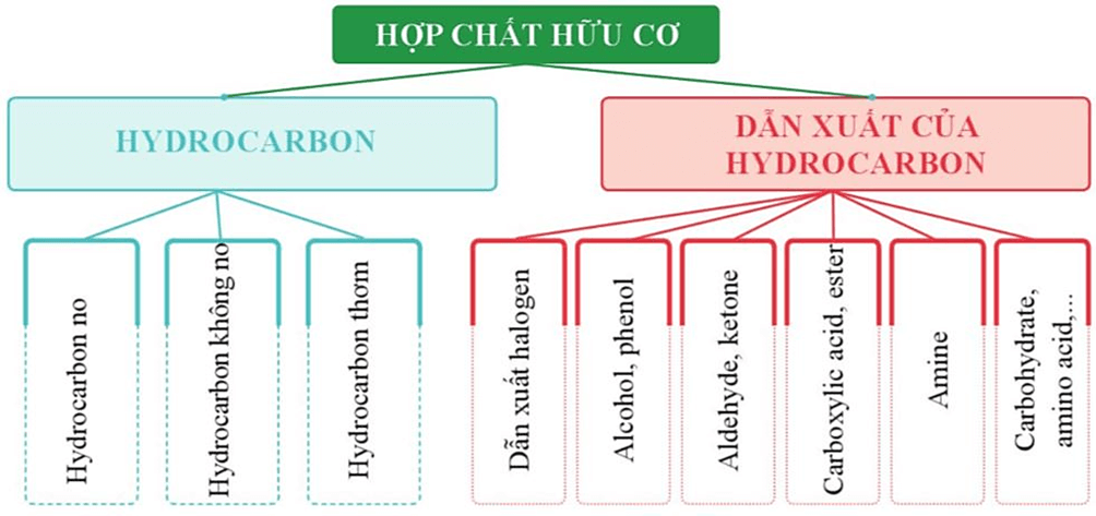 Phân loại hợp chất Gallery 2