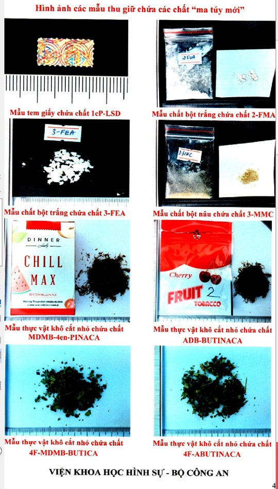 Theo Từ Điển Tiếng Việt, Ma Túy Là Tên Gọi Chung Cho Tất Cả Các Chất Có Tác Dụng Gì? Gallery 1