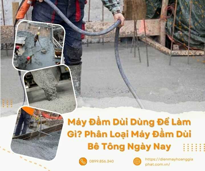 Thầy Dùi Là Gì? Gallery 1