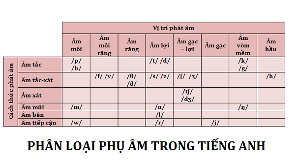 Phụ âm là gì? Gallery 1