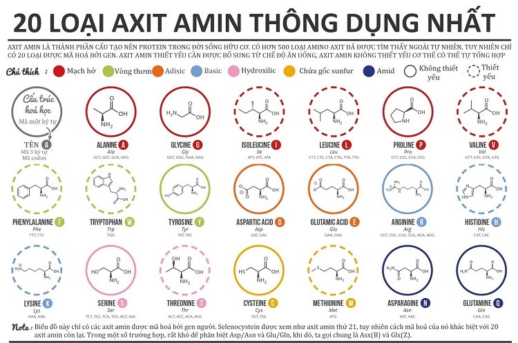 Tất cả các loại Protein Gallery 1