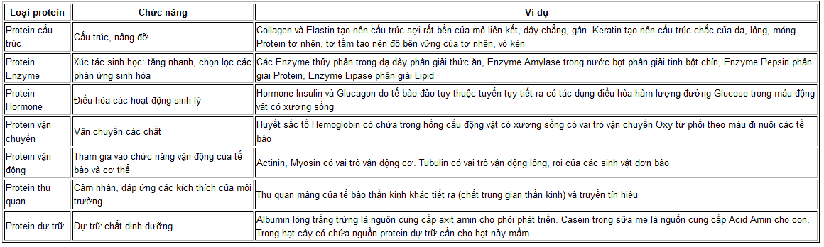 Tất cả các loại Protein Gallery 2