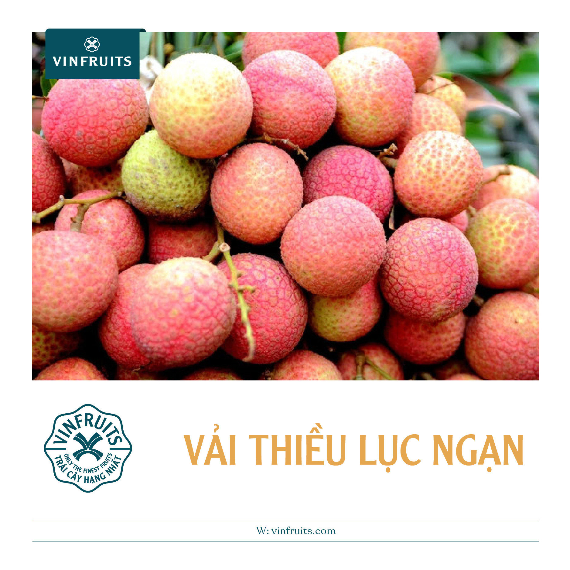 Các Loại Quả Vải: Hướng Dẫn Chi Tiết và Đầy Đủ Gallery 1