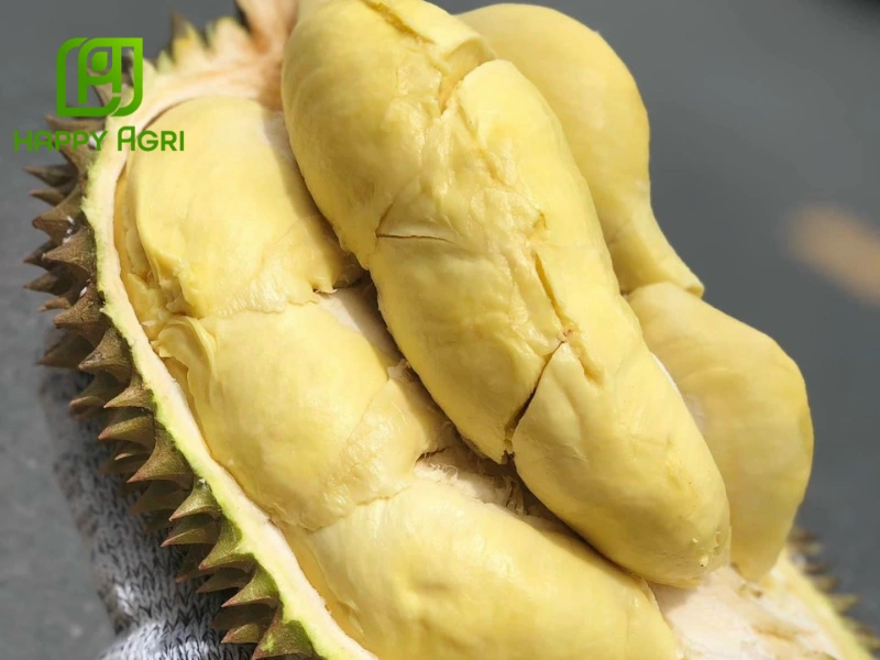 Sầu Riêng Thái Có Mấy Loại? Gallery 1