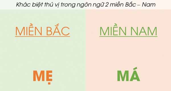Thuật Ngữ và Biệt Ngữ Xã Hội: Giải Mã Ngôn Ngữ Trẻ Và Xu Hướng Online Gallery 2