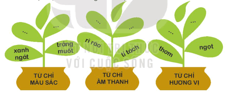 Từ Chỉ Âm Thanh trong Tiếng Việt Gallery 1