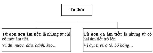 Từ đơn đa âm là gì? Gallery 1