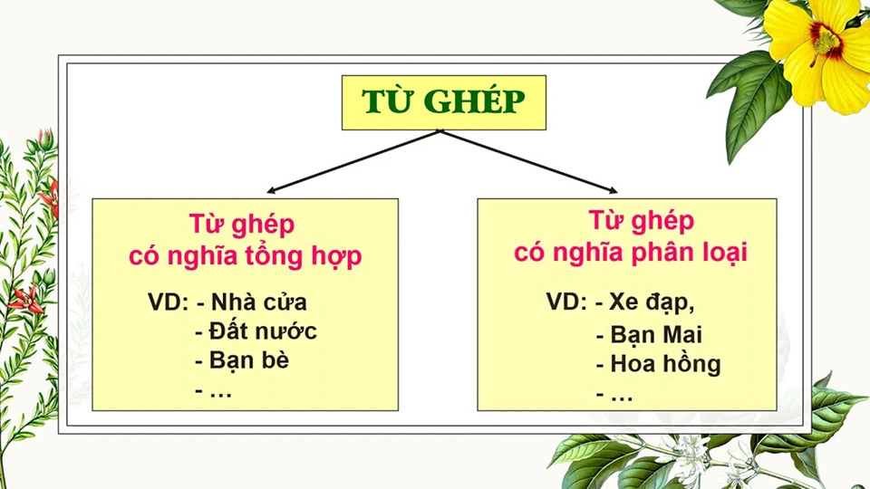 Từ ghép là từ gì? Gallery 1