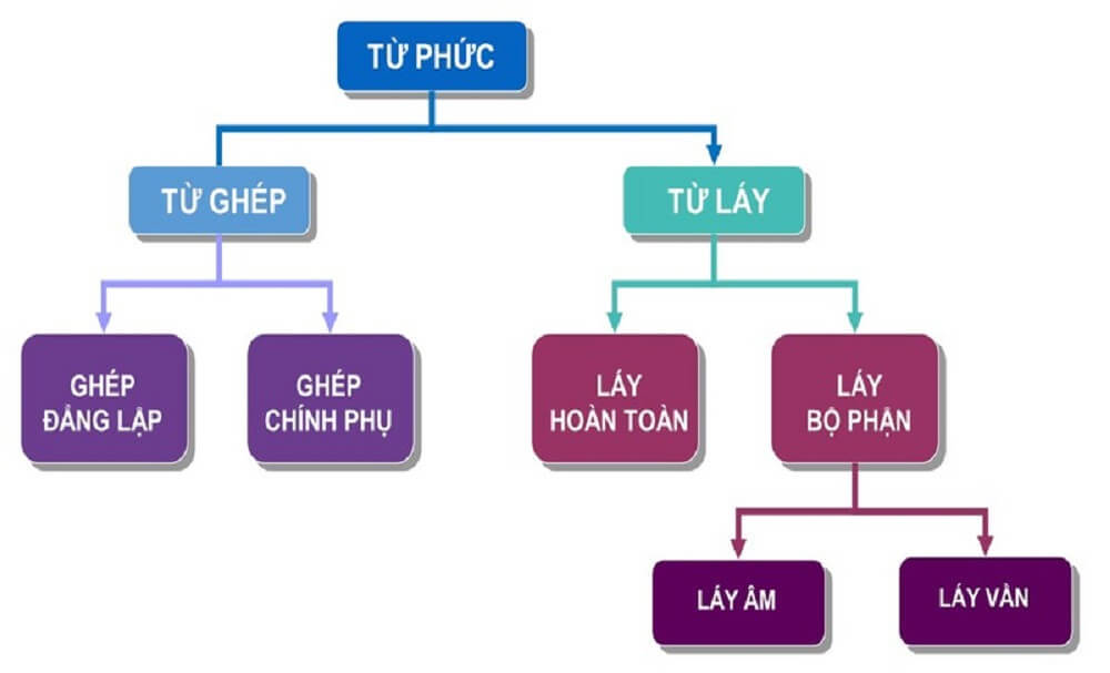 Từ Láy Hoàn Toàn Gallery 1