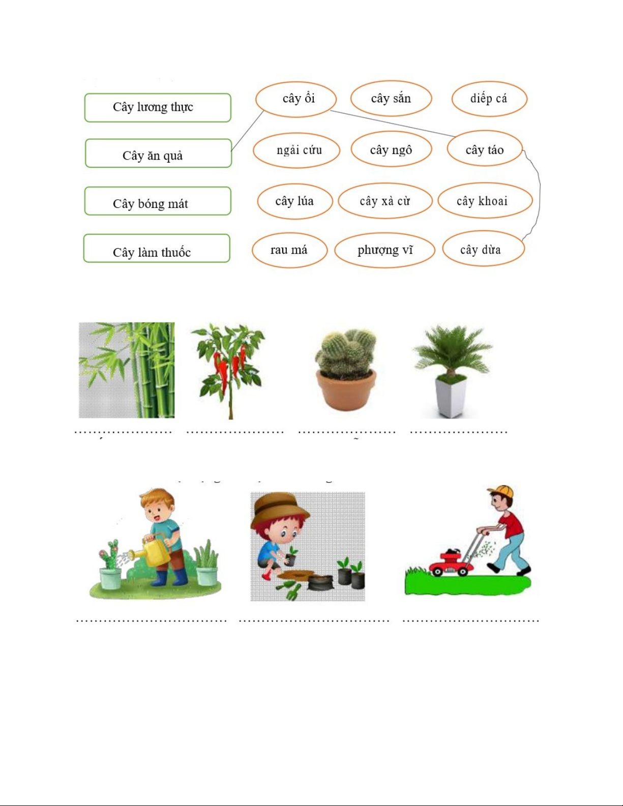Viết từ ngữ chỉ cây cối dưới mỗi hình Gallery 1