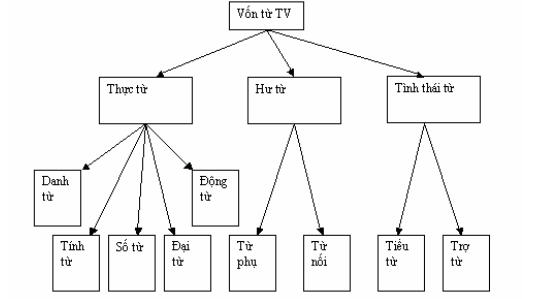 Từ và Từ Vựng Tiếng Việt Gallery 1