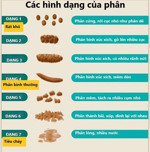Phân nổi hay chìm thì tốt?