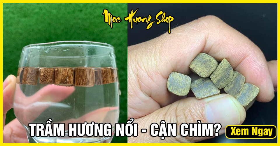 Phân Chìm Hay Nổi Là Tốt? Gallery 2