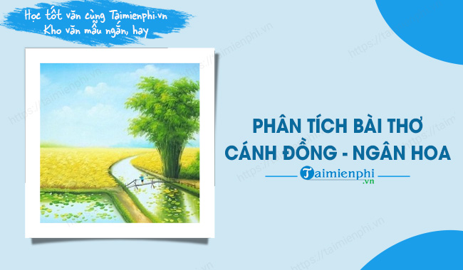 Phân tích bài thơ Cánh đồng của Ngân Hoa