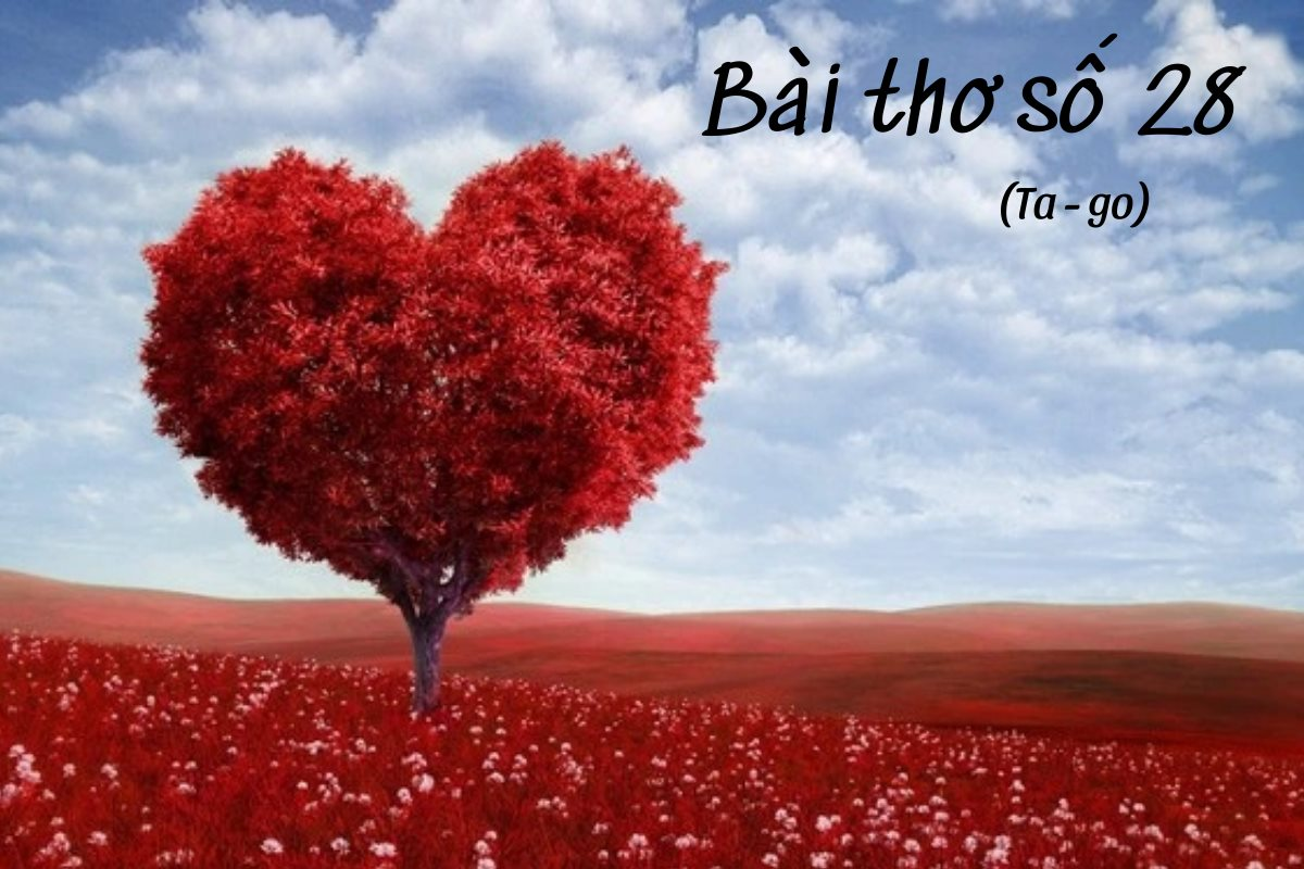 Bài Thơ Số 28 Của Tagore: Phân Tích và Ý Nghĩa Gallery 1