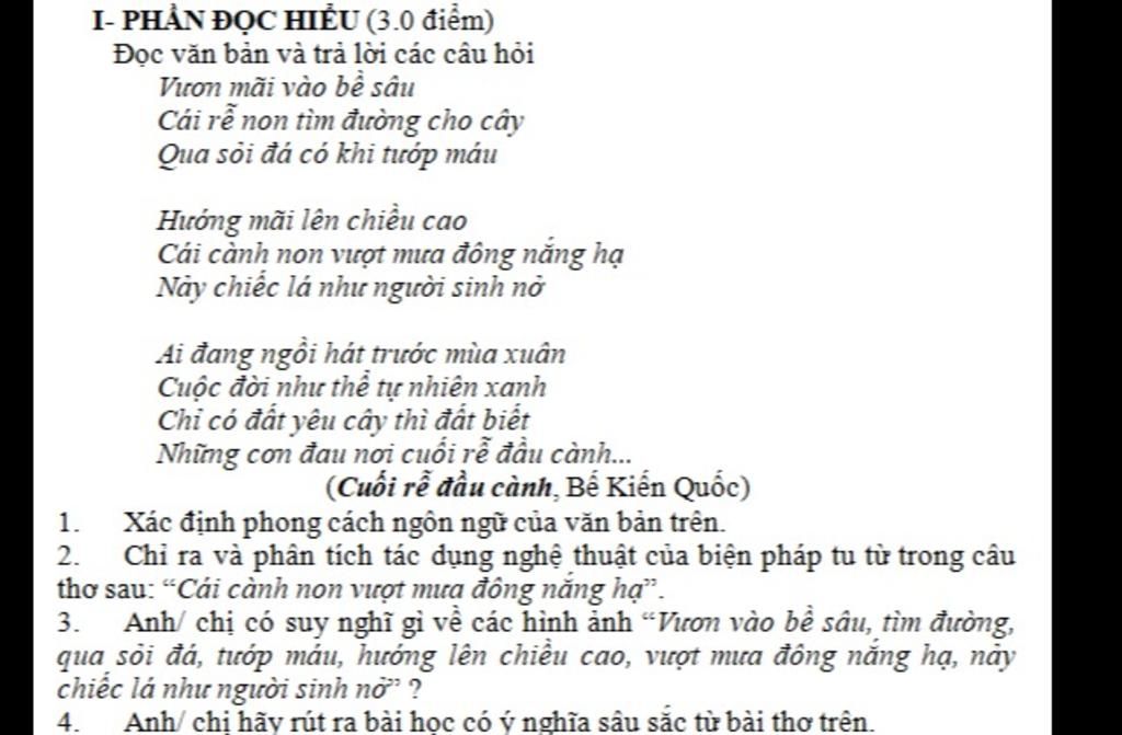 Cuối Rễ Đầu Cành Đọc Hiểu Gallery 2
