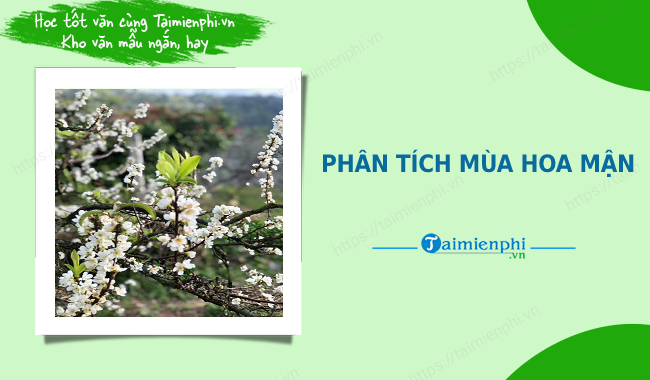 Phân tích đánh giá bài thơ Mùa hoa mận của Chu Thùy Liên Gallery 2
