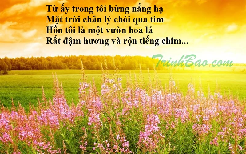 Đọc hiểu câu thơ "Ánh sáng chân lý" Gallery 1