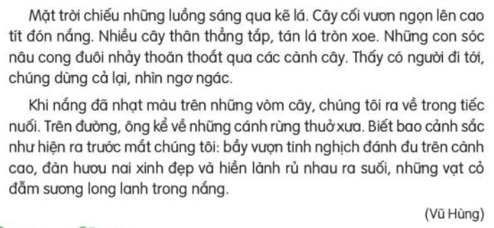 Cánh Rừng Trong Nắng Lớp 3 Gallery 2