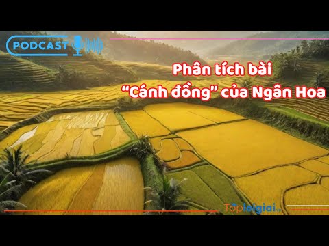 Phân tích bài thơ Cánh đồng của Ngân Hoa Gallery 2