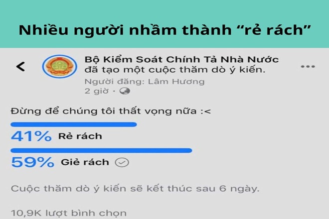 Rẻ Rách Là Gì? Gallery 1