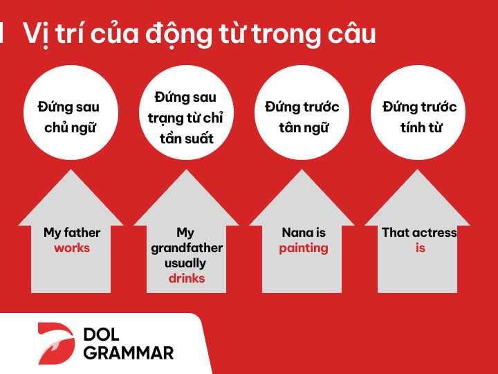 Đứng Trước Động Từ Là Gì? Gallery 1