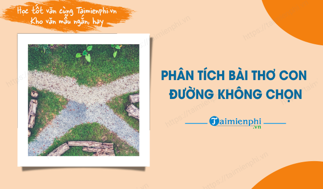 Phân tích con đường không chọn: Mở ra những cơ hội tiềm ẩn