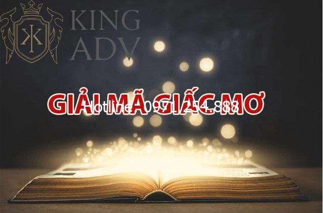 Giấc mơ và 100 con vật Gallery 1