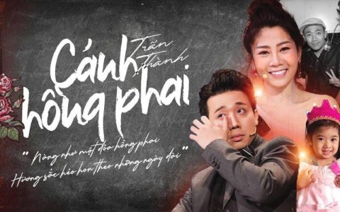 Nàng Như Một Đóa Hồng Phai Lời Gallery 1