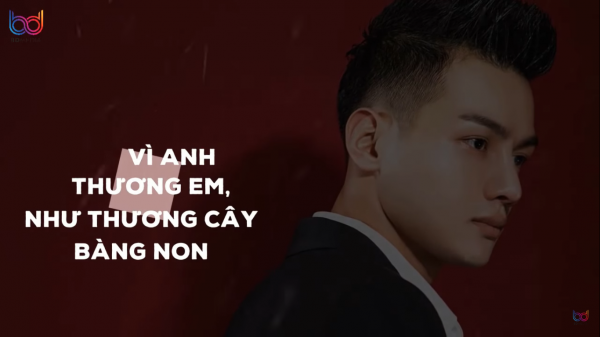 Thương Em Như Cây Bàng Non Gallery 2