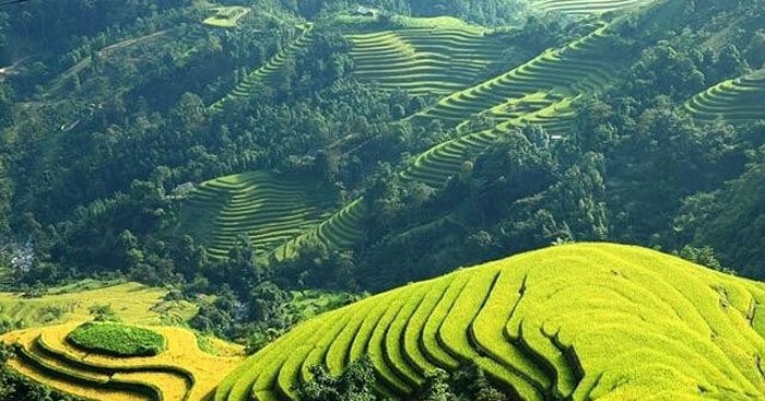 Mở Bài Việt Bắc Khổ 1:  Phân tích hình ảnh thiên nhiên hùng vĩ và tình cảm sâu nặng Gallery 1