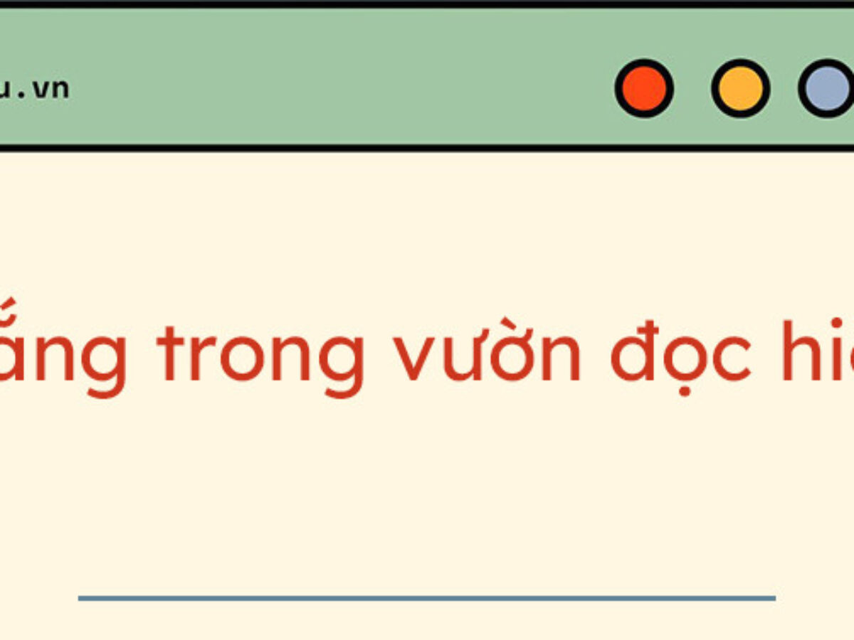 Nắng Trong Vườn Đọc Hiểu Gallery 1