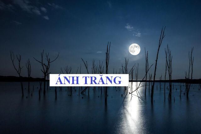 Thầm Lặng Một Vầng Trăng Gallery 2
