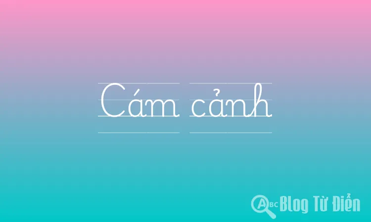 Cám cảnh là gì? Gallery 1