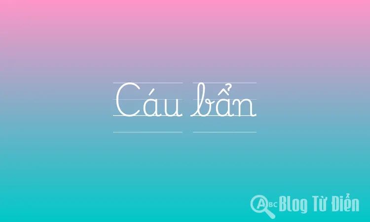 Cáu bẩn là gì? Gallery 1