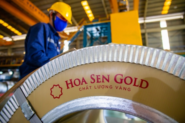 Cổ phiếu Hoa Sen (HSG): Phân tích, cơ hội và rủi ro Gallery 2