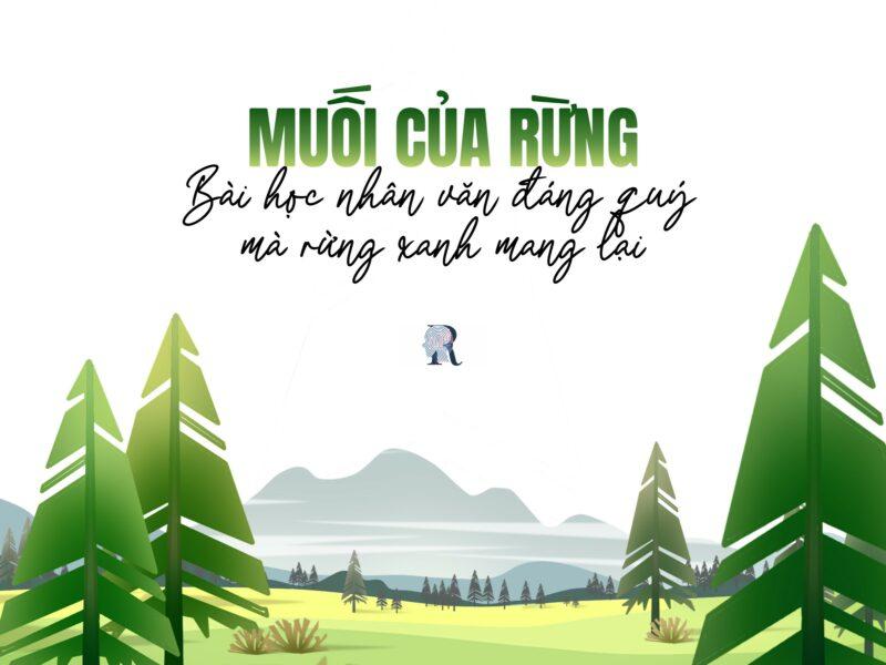 Phân tích muối của rừng